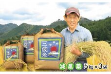 【新米予約】減農薬 三波農地を守る会のコシヒカリ 15kg（5kg×3袋） 令和6年産 新米予約 減農薬 コシヒカリ お米 安心 安全 良質 美味しい 計15㎏ お試し 竹田城跡 三波地区 きれいな水【AS2D10】