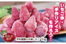 いちご氷・手作りアイスを作ろう！坪井農園の冷凍いちご 【１㎏×１袋 真空パック】 章姫 あきひめ かおり野 冷凍 いちご イチゴ 苺 大粒 甘い 天然肥料 シャーベット ジャム ピューレ 手づくり スイーツ