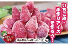 いちご氷・手作りアイスを作ろう！坪井農園の冷凍いちご 【１㎏×２袋 真空パック】 章姫 あきひめ かおり野 冷凍 いちご イチゴ 苺 大粒 甘い 天然肥料 シャーベット ジャム ピューレ 手づくり スイーツ