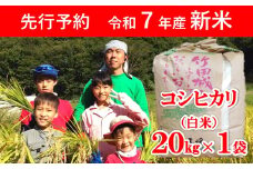 【先行予約】令和7年産 新米 竹田城跡の麓 吉田農場の美味しいコシヒカリ（白米）20kg 【 先行予約 令和7年産 新米 減農薬 コシヒカリ 20kg お米 米 コメ こめ 安心 安全 良質 美味しい 甘み 旨味 兵庫県 朝来市 竹田城跡 】