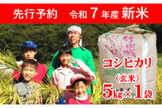 【先行予約】令和7年産 新米 竹田城跡の麓 吉田農場の美味しいコシヒカリ（玄米）5kg 【 先行予約 令和7年産 新米 減農薬 コシヒカリ 5kg お米 米 コメ こめ 安心 安全 良質 美味しい 甘み 旨味 兵庫県 朝来市 竹田城跡 】