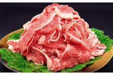 【訳あり】「但馬牛」こま切れお試しセット  500g【A4ランク以上】但馬ビーフ 但馬牛 世界農業遺産 和牛 国産 牛肉 お肉 赤身 旨い 人気 おすすめ 冷凍