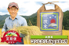 【定期便】三波農地を守る会のコシヒカリ 5㎏×1袋×6ヵ月 令和6年産 新米予約 定期便 減農薬 コシヒカリ お米 安心 安全 良質 美味しい 計30㎏ お試し 竹田城跡 三波地区 きれいな水【AS2GH1】
