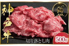 神戸牛 訳あり 切り落とし肉 500g (ASGS1)  ふるさと納税 神戸牛 神戸ビーフ ブランド和牛 訳あり 訳アリ 部位 大きさ不揃い 国産 和牛 切り落し 切落し 太田家 兵庫県 神戸 但馬 朝来 朝来市 新鮮