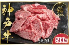 神戸牛 訳あり 焼肉用 500g (ASGY1)  ふるさと納税 神戸牛 神戸ビーフ ブランド和牛 訳あり 訳アリ 部位 大きさ不揃い 国産 和牛 切り落し 切落し 焼肉 焼き肉 太田家 兵庫県 神戸 但馬 朝来 朝来市 新鮮