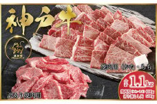 神戸牛 焼肉用 600g・訳あり焼肉用 500g セット 合計1,100g　(ASGY3) 【発送期日最長２か月前後】 ふるさと納税 牛肉 ブランド和牛 国産 和牛 神戸牛 神戸ビーフ 焼肉 切り落し カルビ かた もも バーベキュー 太田家 兵庫県 神戸 但馬 朝来 朝来市