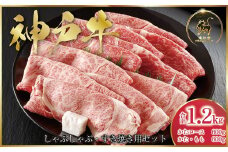 神戸牛 しゃぶしゃぶ・すき焼き用セット 1.2kg (ASGSS5) 【発送期日最長２か月前後】ふるさと納税 神戸牛 神戸ビーフ ブランド和牛 国産 和牛 しゃぶしゃぶ すき焼き かたロース かた もも 太田家 兵庫県 神戸 但馬 朝来 朝来市