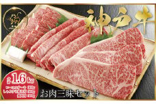 神戸牛 お肉三昧セット (ASGLS10)  ふるさと納税 神戸牛 神戸ビーフ ブランド和牛 国産 和牛 焼肉 すき焼き しゃぶしゃぶ ステーキ ロース かた もも バーベキュー 太田家 兵庫県 神戸 但馬 朝来 朝来市 国産 新鮮