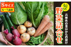 2024年4月発送開始＜栽培期間中農薬不使用＞兵庫県の里山からお届け 旬の野菜詰め合わせ Sサイズ＜5~7品目＞【24010651】