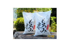 自然が育んだ美味しいお米◆もろみ米◆コシヒカリ　計10kg【5786218】令和6年産 コシヒカリ 安心・安全