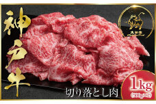 神戸牛 訳あり 切り落とし肉 1kg ＜500g×2P＞ (ASGS2S)  ふるさと納税 神戸牛 神戸ビーフ ブランド和牛 訳あり 訳アリ 部位 大きさ不揃い 1,000g 国産 和牛 切り落し 切落し 太田家 兵庫県 神戸 但馬 朝来 朝来市 新鮮