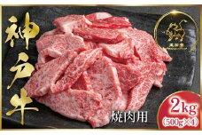神戸牛 訳あり 焼肉用 2kg <500g×4P>  (ASGY4S)  ふるさと納税 神戸牛 神戸ビーフ ブランド和牛 訳あり 訳アリ 部位 大きさ不揃い 2,000g 国産 和牛 切り落し 切落し 焼肉 焼き肉 太田家 兵庫県 神戸 但馬 朝来 朝来市 新鮮