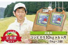 【定期便】三波農地を守る会のコシヒカリ10㎏（5kg×2袋）×6ヵ月 令和6年産 新米予約 定期便 減農薬 コシヒカリ お米 安心 安全 良質 美味しい 計60㎏ お試し 竹田城跡 三波地区 きれいな水【AS2KBF1】