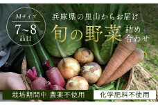 ＜栽培期間中農薬不使用＞兵庫県の里山からお届け 旬の野菜詰め合わせ Ｍサイズ＜7~8品目＞