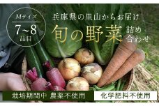 ＜栽培期間中農薬不使用＞兵庫県の里山からお届け 旬の野菜詰め合わせ Ｍサイズ＜7~8品目＞