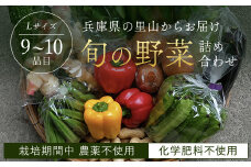 ＜栽培期間中農薬不使用＞兵庫県の里山からお届け 旬の野菜詰め合わせ Lサイズ＜9~10品目＞