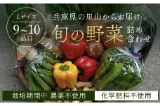 ＜栽培期間中農薬不使用＞兵庫県の里山からお届け 旬の野菜詰め合わせ Lサイズ＜9~10品目＞