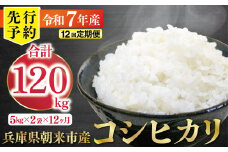 【先行予約】令和7年産 新米 定期便 兵庫の1級河川 円山川源流域で育まれた朝来市産コシヒカリ（白米）10㎏＜5kg×2袋＞×12か月 【 先行予約 令和7年産 新米 定期便 コシヒカリ 単一原料米 国産 計120kg お米 米 コメ こめ 精米HACCP認定 安心 安全 良質 美味しい 甘み 旨味 兵庫県 朝来市 竹田城跡 円山川源流域 川の最上流域なので水のきれいさピカイチ!! 】