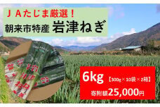 【 先行予約 】 JAたじま厳選！ 朝来市特産 岩津ねぎ 6kg（300g×10袋×2箱）