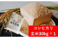 【R7新米】高本さんちのお米 コシヒカリ 玄米 30kg×1袋 令和7年産 新米 減農薬 コシヒカリ お米 安心 安全 良質 特別栽培米 美味しい 高本農場