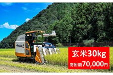 【先行予約】令和7年産 稲場農産 慎ちゃんのお米 コシヒカリ 玄米 30kg×1袋 令和7年産 先行予約 新米予約 コシヒカリ お米 30kg 安心 安全 良質 美味しい お試し 兵庫県 朝来市