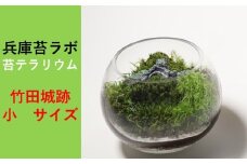 【丸形テラリウム（小）】天空の城 「竹田城跡」をイメージした苔テラリウム