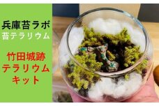 天空の城 「竹田城跡」をイメージした苔テラリウムキット