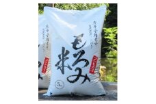 自然が育んだ美味しいお米◆もろみ米◆コシヒカリ　5kg＜5kg×1袋＞ 令和7年産 コシヒカリ 安心・安全