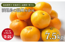片山農園の淡路島みかん(温州みかん)7.5kg【サイズいろいろS～2Lサイズ】【発送時期2025年11月頃~2026年1月頃】
