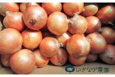 いざなぎ農園の淡路島たまねぎ 10kg《淡路島産玉ねぎ》