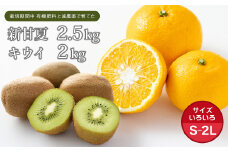 片山農園の淡路島産新甘夏2.5kgとキウイ2.0kg【サイズいろいろS～2Lサイズ】【発送時期2026年2月頃~5月頃】