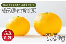 片山農園の淡路島産新甘夏7.5kg【サイズいろいろS～2Lサイズ】【発送時期2026年2月頃~5月頃】