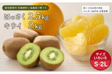 片山農園の淡路島のはっさく2.5kgとキウイ2.0kg【サイズいろいろS～2Lサイズ】【発送時期2026年2月頃～4月頃】