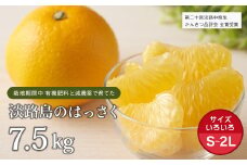 片山農園の淡路島のはっさく7.5kg【サイズいろいろS～2Lサイズ】【発送時期2026年2月頃~4月頃】