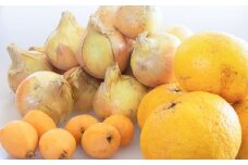 【新たまねぎ】淡路島産たまねぎ5kgと旬の果物少々セット【発送時期：2026年4月～5月頃】