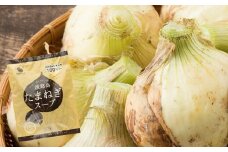 【新たまねぎ】今井ファームの淡路島たまねぎ「かくし玉」5kgとたまねぎスープ10食【発送時期2026年4月下旬～5月頃】