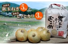 【新たまねぎ】名手農園の淡路島特産玉ねぎとお米【発送時期：2026年3月～5月頃】