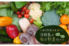 淡路島の旬の野菜セット（10～15種類程度）