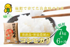 【定期便】野添農園のコシヒカリ7ｋｇｘ6ヶ月「ひょうご安心ブランド」