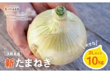 【新たまねぎ】淡路島たまねぎ 大きな2Lサイズ10kg【発送時期：2026年3月中旬～6月上旬頃】