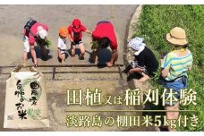 田植又は稲刈体験　淡路島の棚田米5kg付