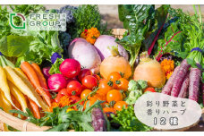 フレッシュグループ淡路島彩り野菜と香るハーブセット　　野菜セット 農家直送 詰め合わせ