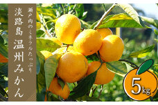 温州みかん　5kg　サイズ色々Ｓ・Ｍ・Ｌミックス