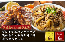 プレミアムハンバーグとたまねぎ牛丼 食べ比べセット