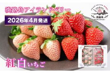 淡路島アイランドベリー　紅白いちご　淡雪/とちおとめ【2026年4月発送予約受付・お届け日指定不可】