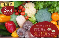【定期便】淡路島の旬の野菜セット　３ヶ月コース（月１回×３回）