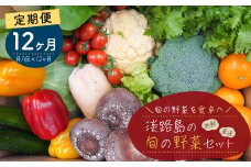 【定期便】淡路島の旬の野菜セット　１年コース（月１回×１２回）