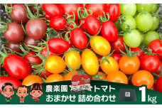農楽園トマト おまかせ １ｋｇ詰め合わせ