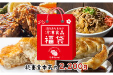 今井ファームの冷凍食品お楽しみ福袋【ハンバーグ・牛丼・餃子・コロッケ】