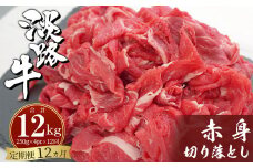 【定期便12ヶ月】淡路牛赤身切り落とし 1kg（250ｇ×4PC）